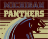 big-panthers_98x80.png