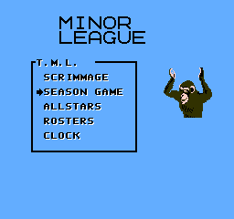 More information about "Tecmo Minor League Football 2015"
