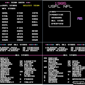 More information about "1985 USFL and NFL TSB by buck.nes"