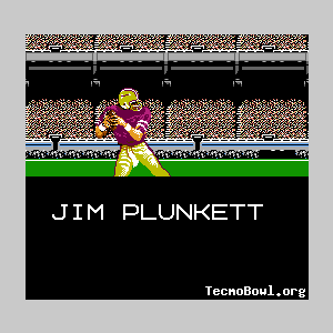 More information about "1970TecmoCFB"