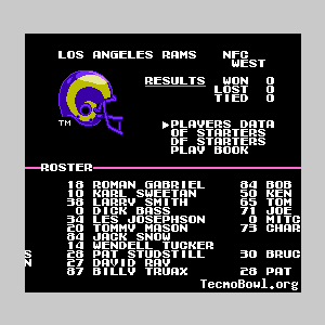 More information about "Tecmo Super Bowl 1969"