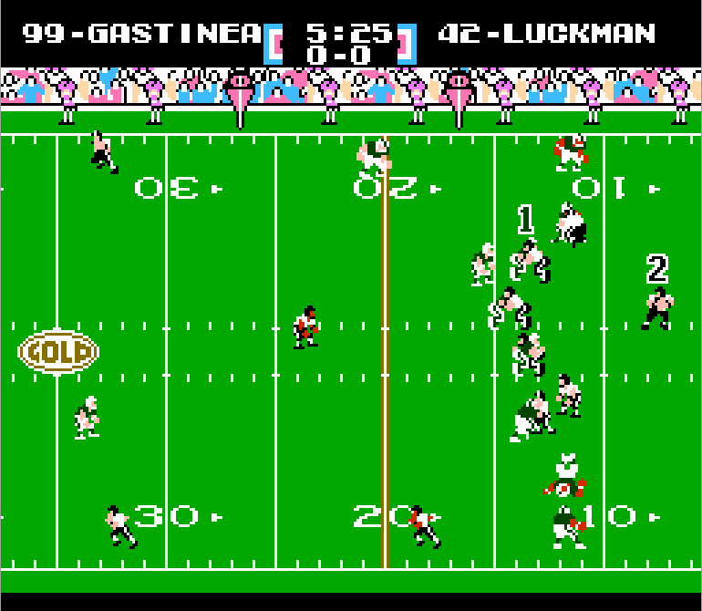 Goji's Tecmo Super Bowl NFL Championship Edition (5.1) - Misc ROMs - TBORG