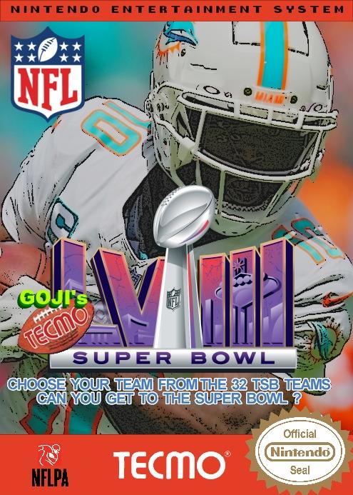 Goji's NFL Tecmo Super Bowl LVIII - NFL By Year - TBORG