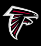 FALCONS1