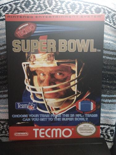 Cover Art Tecmo Canvas.jpg